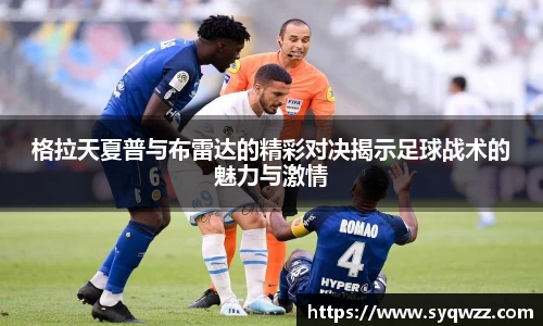 球盟会官网入口球盟会官方网站